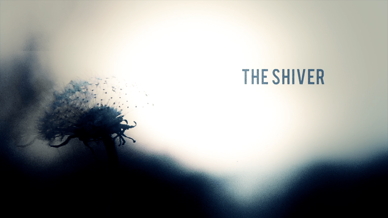 The Shiver // Ocean