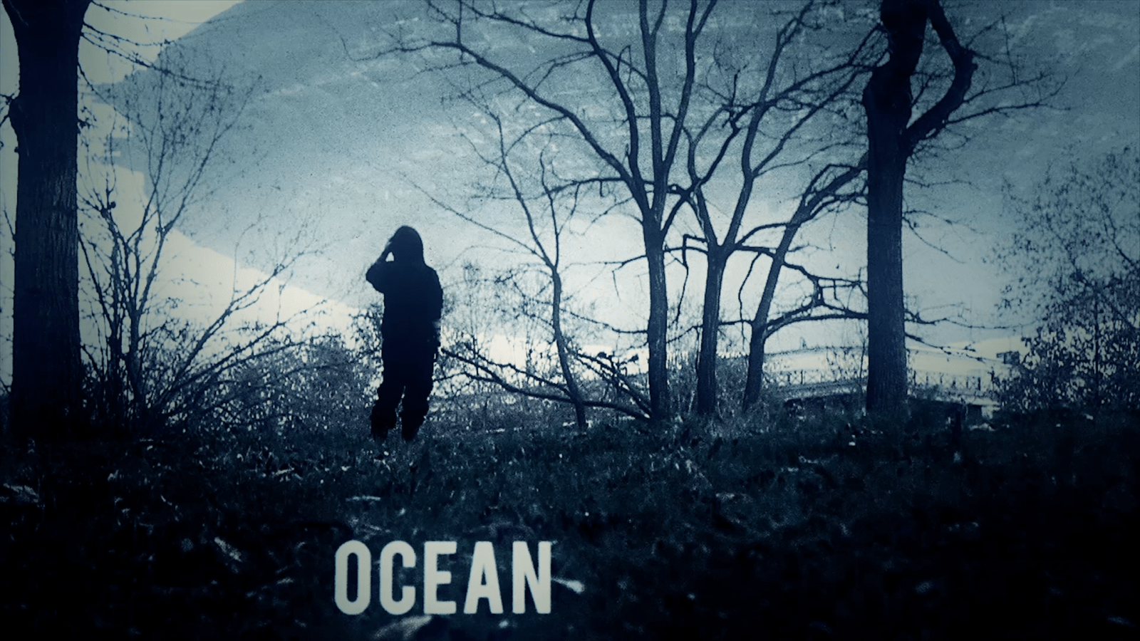The Shiver // Ocean