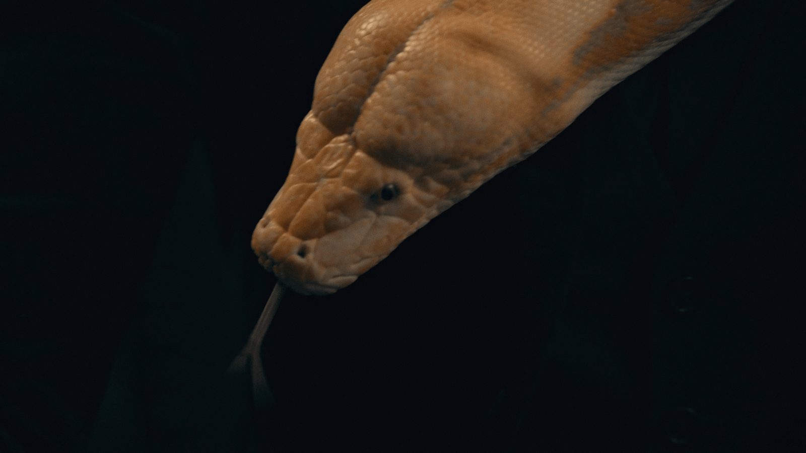 SOEN // Monarch