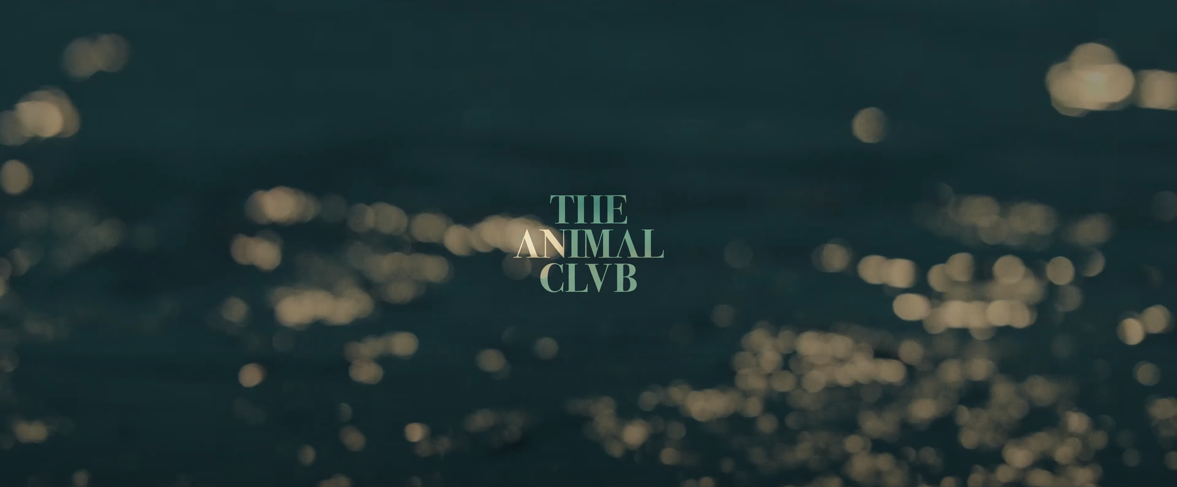 The Animal Club // Blue